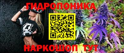 синтетический гашиш Шелехов